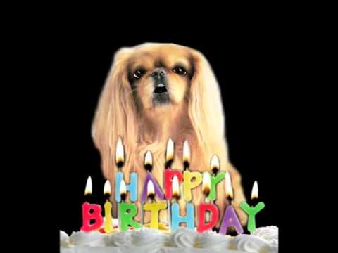 Chirag and Jessica and Thresa