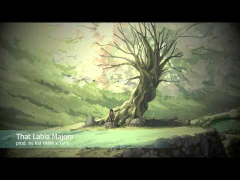 That Labia Majora (prod. by Kid HNRK x Terio)