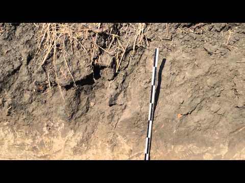 DN6 CARACAL SITUL 2 SECTIUNEA 4 DETALIU COMPLEX ARHEOLOGIC