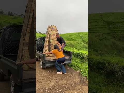 Suasana siang dikebon