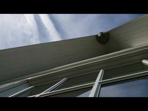 Dangerous Bald-Faced Hornet Situation in Atlantic Highlands, NJ