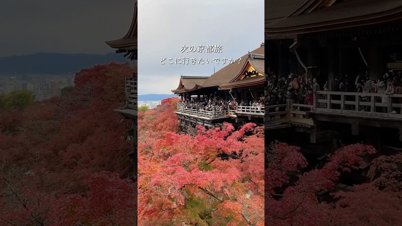 分散型ホテルで味わう新たな京都の魅力⛩️