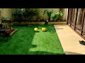 Product Video