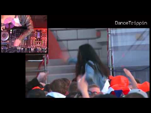 Dannic - Viper [played by Sander Van Doorn]