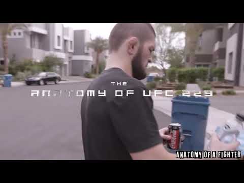 Anatomy of ufc 229 khabib vs conor mcgregor