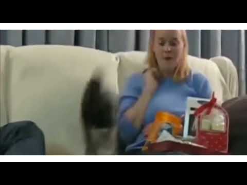 Funny Cats Scared Of Random Things😂😂#5