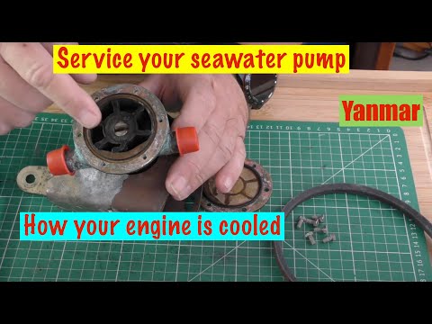 Service your Sea Water / Raw Water Pump.  How it's cooled. Part 2 Yanmar Sailboat Engine.