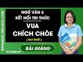 Vua chích chòe - Ngữ Văn 6 - Kết nối tri thức
