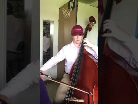 Dragonetti - D Minor - 1 Octave