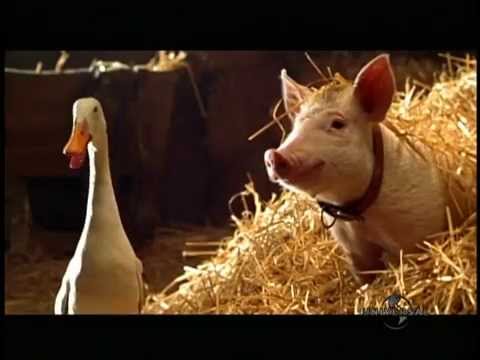 Tráiler Babe 2: El puerquito en la ciudad 1998