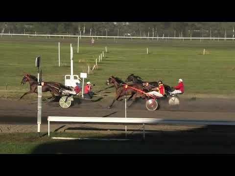 Trka "Peace Force Pro" 07.08.2021 Tekila - Miodrag Pantić