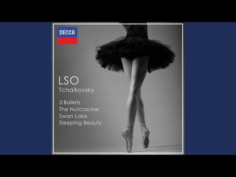 Tchaikovsky: The Nutcracker, Op. 71, TH.14 / Act 2 - No. 14b Pas de deux: Variation I (Tarantella)