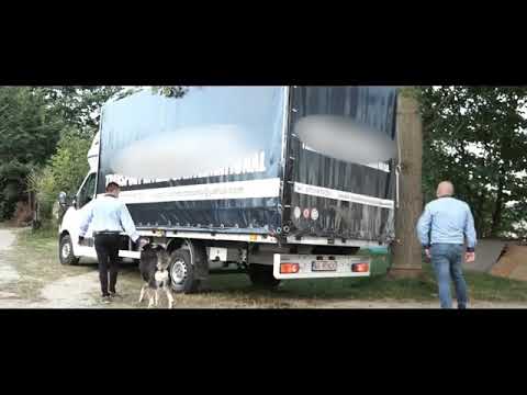 DANi PRiNTUL BANATULUI si Dani mocanu drogurile 2019