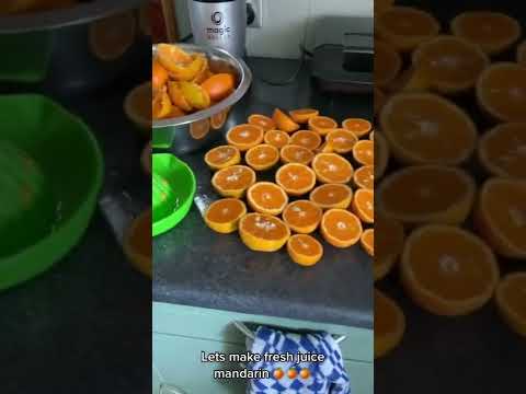Juice jeruk mandarin segar petik langsung dari halaman rumah 🍊😍🤌🏻 #juicerecipe #healthydrink