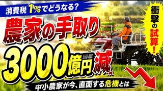 💴🍚【日本の食を守れるか】消費税引き下げで揺れる農業界の本音とは？ 🌾🔥