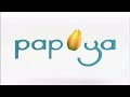 Papaya Studio Logo 2010