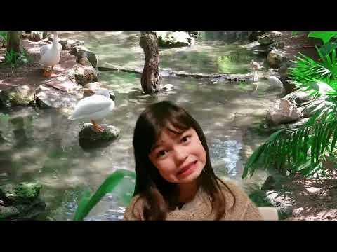 Gedicht: Verrukkelijk scheef van Marieke Lucas Rijneveld