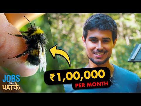 , title : 'How to Earn Money from Beekeeping? | Ep.2 Jobs Zara Hatke | Dhruv Rathee'