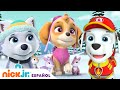 Paw Patrol, Patrulla de cachorros | ¡Salvando a Skye de la tormenta de nieve! | Nick Jr. en Español DEFAULT Thumbnail