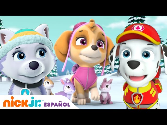 Vídeo relacionado con Paw Patrol Botas de Agua con luz para niñas, Botas de Nieve para Lluvia y Nieve Skye para niños