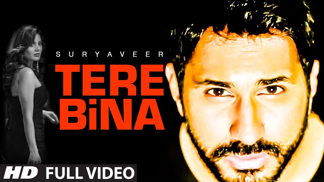 Tere Bina (Title) Lyrics  | Tere Bina | Suryaveer | Suryaveer Hooja | Dipanjan Guha