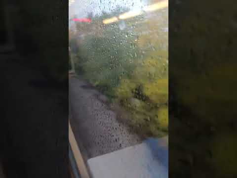 Rainy Train Ride