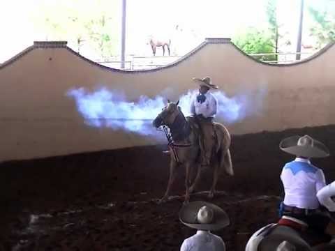 Carmelo Martinez-Charros de Dallas