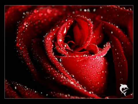 Sam Hagberth - Something Real