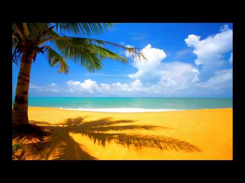 Tiesto feat Syntheticsax - I Will Be Here (Wolfgang Gartner Remix) [HD]