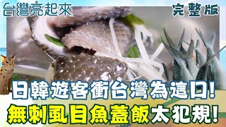 員工餐變爆款！正港無刺虱目魚肉蓋飯意外走紅  珍珠蚵產地主婦的逆襲  翻轉蚵殼宿命！本是垃圾的殼變身創新寶物 │白心儀主持│【台灣亮起來完整版】20251116│三立新聞台