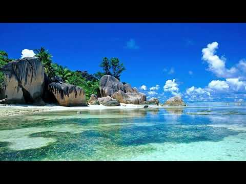 Beach 🏝 sounds 🎶