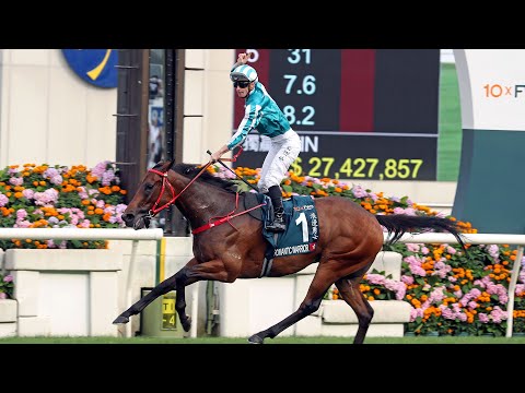 2025クイーンエリザベス2世カップ | JRA-VAN World - 海外競馬情報サイト