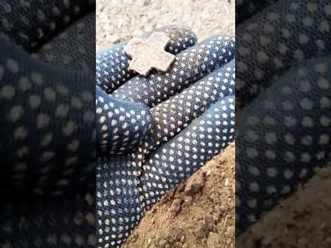 24.04.2019.Румыны и Российская империя