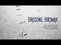 Birdsong, Birdman - Luka Bloom