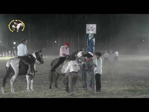programa Folklore y Tradición Nº 704 fiesta de Sauce Ctes  #caballos #jinete #charreada #jaripeo