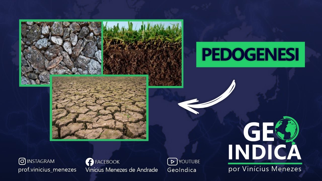 PEDOGÊNESE