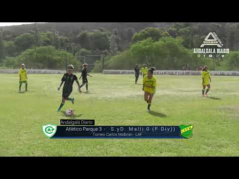 Atlético Parque 3 - S.y D. Malli 0 (F Div.)