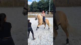 Download lagu Perfecting Every Step #hor #horse #rider #riding mp3