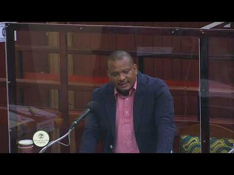 Minister Hyde Speaks on Reparations for Descendants of Slaves Pt 2