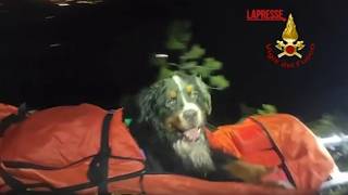 Baloo non ce la fa più a camminare: i vigili del fuoco soccorrono un cane e lo portano a valle in...