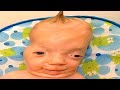 1 Hour Try Not To Laugh But It S Actually Funny