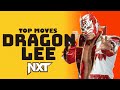 Dragon Lee Top Moves, Signatures & Finisher | Moveset Lab