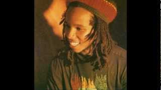 Ziggy Marley and the Melody Makers - Tumblin Down 12 Inch Remix (Tom Tom Remix))