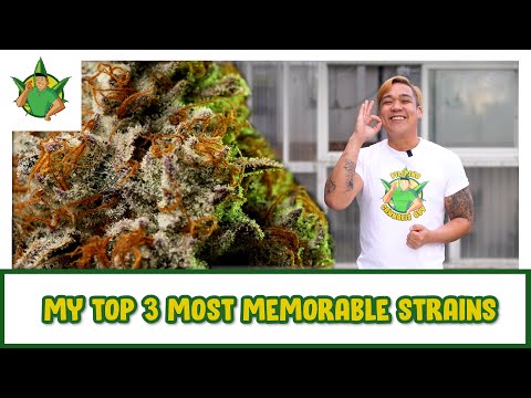 Filipino Cannabis Guy - My Top 3 Most Memorable Strains