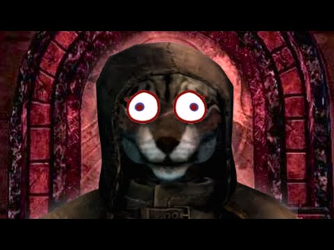 An Idiot Joins Skyrim's Assassin's Guild