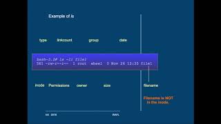 Netapp ONTAP What is a Unix-type file system?