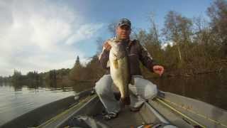preview picture of video '3/14/14_Spring Lake_Monster TOAD 9 lbs 14oz & a dink_Trokar_Wright & McGill'