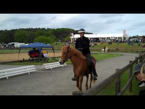 Kronshof-special - Biathlon - www.isibless.de