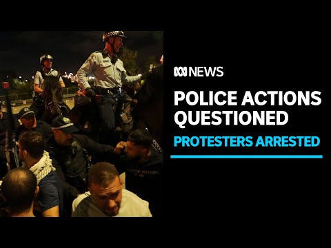 Polícia acusa 23 ativistas pró-palestinos em protesto em Port Botany | ABC News