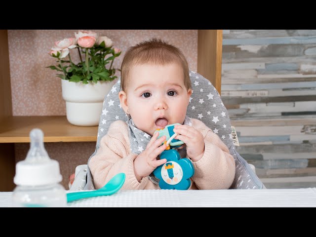 Vídeo relacionado con JYOKO Kids Colchoneta para Trona antilop Compatible con IKEA, 100% Algodón (Dino Party)